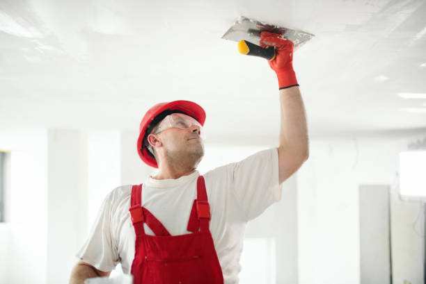 Best Ceiling Drywall Installation  in Nashville, NC